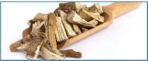 Marshmallow Root